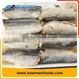 Free Sample 425g Brine Healthy Natural Flavor Canned Jack Mackerel thumbnail-1