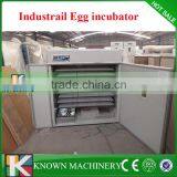 Chicken,Reptile,Bird,Emu,Ostrich,Duck Usage Digital Egg Incubator and Egg Hatcher (Manufacturer) thumbnail-4