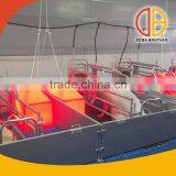 Factory Price Farrowing and Farrowing Crate for Sale thumbnail-1