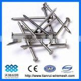 Good Quality Iron Nail With Polished Finish (ISO) thumbnail-1