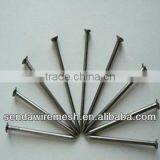 Common Nails thumbnail-1