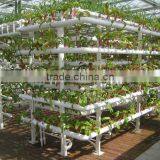 Galvanized Steel Structure Glass Covering Greenhouse thumbnail-2
