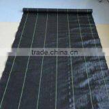 Black pp Woven Garden Weed Control Fabric thumbnail-1