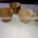 Areca leaf disposable cups and spoons