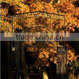 Bisini European Elegant Luxury Grill Wrought Iron Gate (BG90231) thumbnail-1