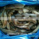 Wholesale Frozen Cheap Giant Squid Tentacles Fish Bait thumbnail-1