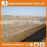 Heracles Low Cost Plastic Tunnel Greenhouses thumbnail-6