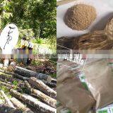 Incense Powder, Product of Nature - Natural Agarwood Chips or Super Gaharu thumbnail-1