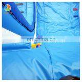 2017 Aier With Dolphins Inflatable Slide/cheap Inflatable Slide/adult Size Inflatable Water Slide thumbnail-5