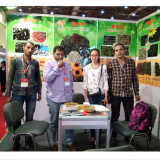 High Quality Turkish Sunflower Seed From Inner Mongolia thumbnail-2