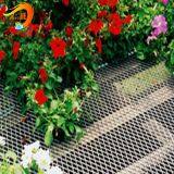 China Suppliers Top Grade Stainless Steel Reasonable Price Expanded Metal Mesh