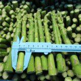 IQF Green Asparagus thumbnail-4