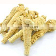 Chinese Panax Quinquefolium Extract Powder thumbnail-2