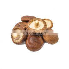 Organic Dried Shiitake Mushroom for Cooking/High Quality Flower Mushroom/Best Prices Dried Shiitake Mushroom From Vietnam thumbnail-1
