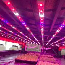 led grow lights China Price led plant light manufacturer