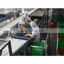 Tropical Fresh Fruit Production Line/Canned Yellow Peach Machine/processing Line thumbnail-4