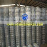 Sheep Fence ,ovine Fence ,hog Wire Fence