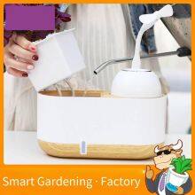 Smart Planting Flower Pot Humidifier, Manufacturer's Product, Business Gift, a Labor-saving Water-storage and Humidifying Gadget for the Lazy thumbnail-2