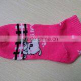 Little Dog Women Socks