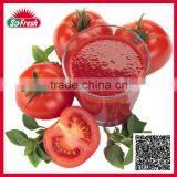 Tinned and Plastic Packed Canned Tomato Ketchup thumbnail-1