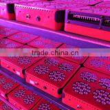 Cheapest Hot Sell 15w Led Grow Light 12v dc thumbnail-3