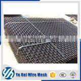 Hot Sale Hot-dipped Galvanized Crimped Wire Mesh