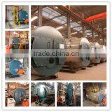 2-3ton Natural Gas Fired Steam Boiler for Food Dehydration/food Project thumbnail-6
