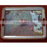 Cartoon Plastic Food Serving Trays