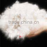 EN12934 80% Hot Selling Goose Down and Feather for Jackets thumbnail-3