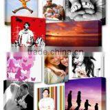 Great Artwork Canvas Printing Picture