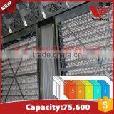 XF-75600 Hottest Selling High Quality Commercial Chicken Egg Incubator for Sale thumbnail-2