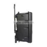 15 Inch Hot Active Type Portable Trolley Bluetooth Speaker With fm Radio thumbnail-2