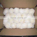Chinese Golden Pear 9kg 18kg Carton thumbnail-6