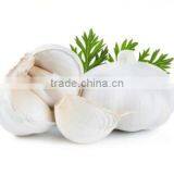 Hot Sale Fresh Chinese Normal White Garlic With Ctn thumbnail-1