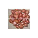 High Quality Common Cultivation Non-Peeled Part and Fresh,Fresh Style Fresh Onion Promotion thumbnail-3