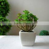 Artificial Mini Bonsai For Office Tabletop Decoration