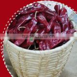 AD Dried Red chilli HACCP/ GAP/FDA/HALAL