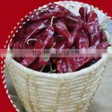 AD Dried Red Chilli HACCP/ GAP/FDA/HALAL thumbnail-1