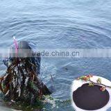 Agrolink Super Fine Seaweed Extract Powder Fertilizer thumbnail-2