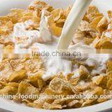 Breakfast Cereal Food Production Line thumbnail-3