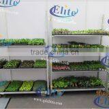 390 Seed Discharging Danish Flower Trolley thumbnail-4