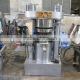 Stable Performance and Low Price Grape Seed Oil Press-(0086-13613714234) thumbnail-3