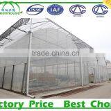 Multi Span Plastic Roofing Sheets Agricultural Commercial Greenhouses for Sale thumbnail-3