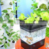 Mini Aquaponics System thumbnail-1