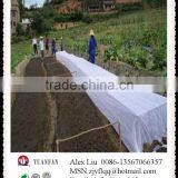 4%UV Treated Agriculture ,weed Control Non Woven Fabric thumbnail-3