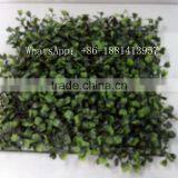 SJC005 Artificial Milan Grass Turf Plastic Thick Grass thumbnail-6