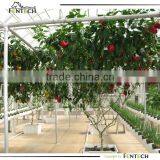 NFT Hydroponics Systems Post