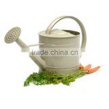 Eco-friendly Oval Metal Watering Can/ Colorful Metal Garden Toys/ Metal Flower Planter thumbnail-1