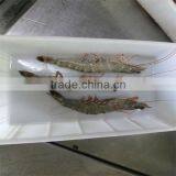 Frozen Shrimp and Noodles thumbnail-1