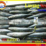 FROZEN LAYANG SCAD (MUROAJI) WHOLE ROUND thumbnail-3